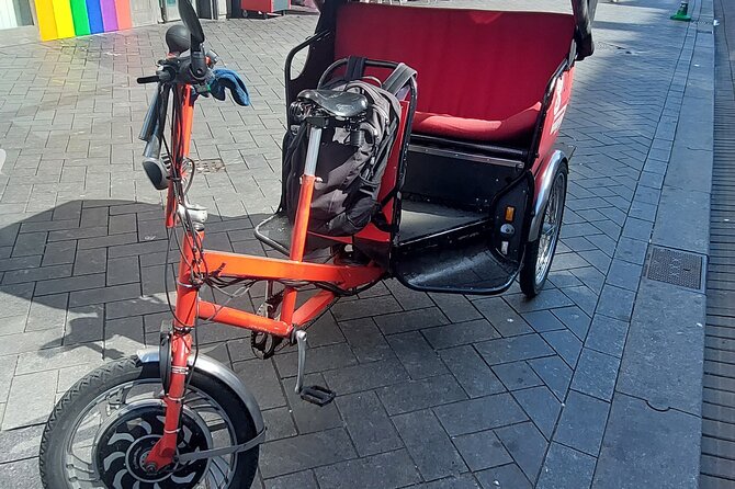 1 Hour Private Amsterdam Rickshaw Tour - Pickup and drop-off: the hidden win (especially for cruise days)