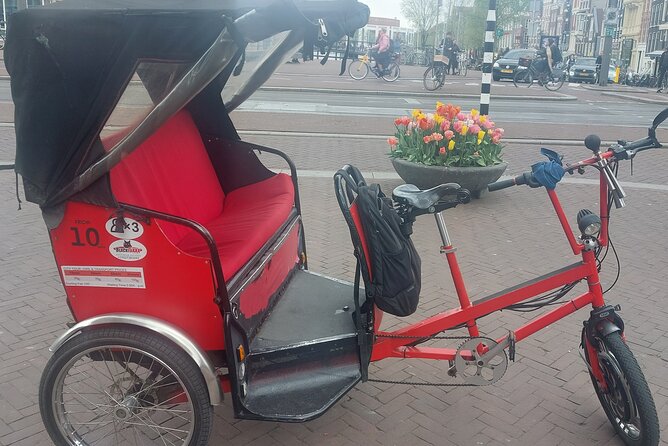2 Hours Private Amsterdam Rickshaw Tour - Pickup and getting started: the real comfort of door-to-door planning