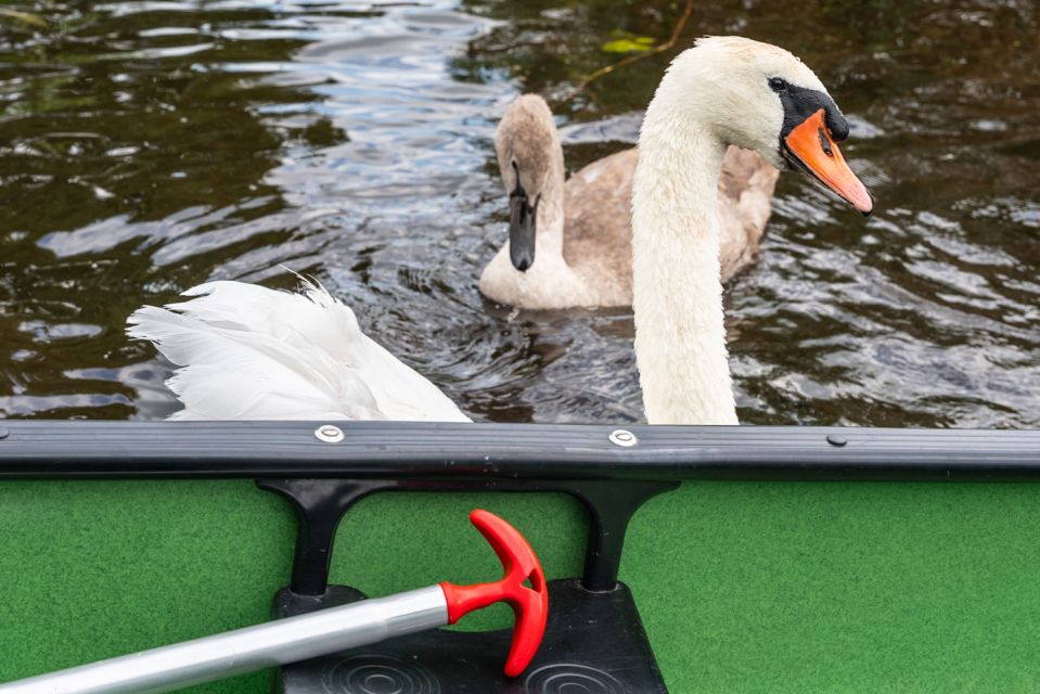 Amsterdam: 2-Hour Guided Canoe Trip - Price check: is $47 a good value for a 2-hour guided canoe trip?