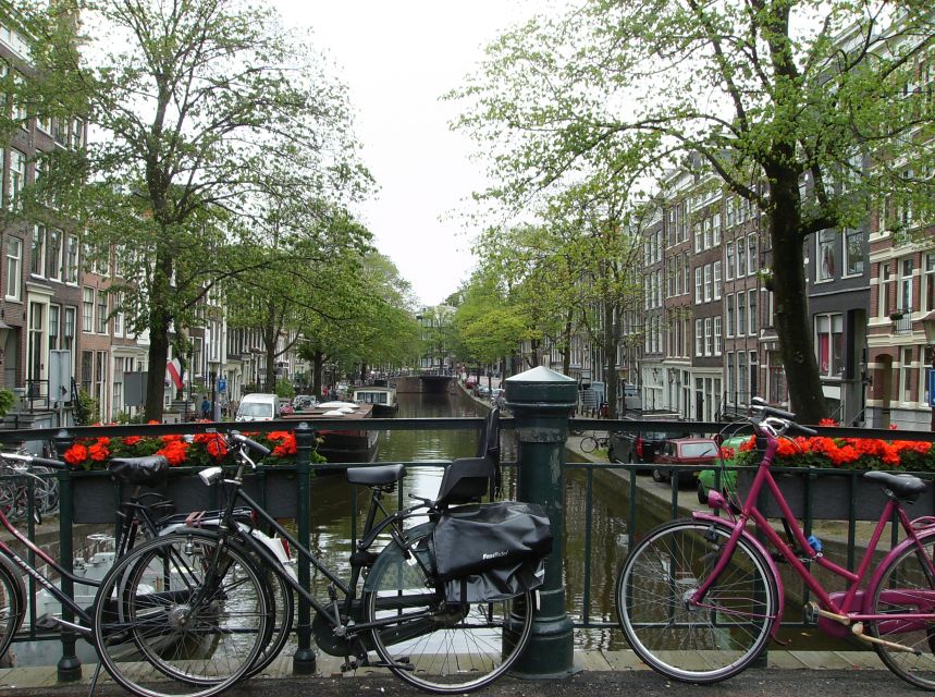 Amsterdam: 2-Hour Sightseeing Tour by Rickshaw - Should you book this Amsterdam 2-hour sightseeing rickshaw tour?