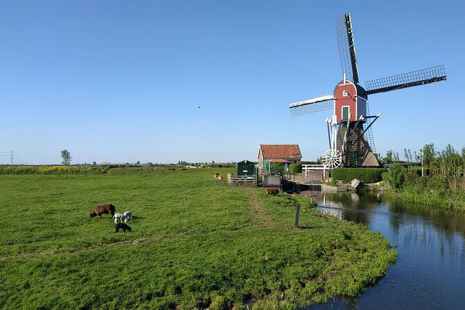 Amsterdam and Countryside Private Full-Day Tour by luxury car - Questions people ask before booking