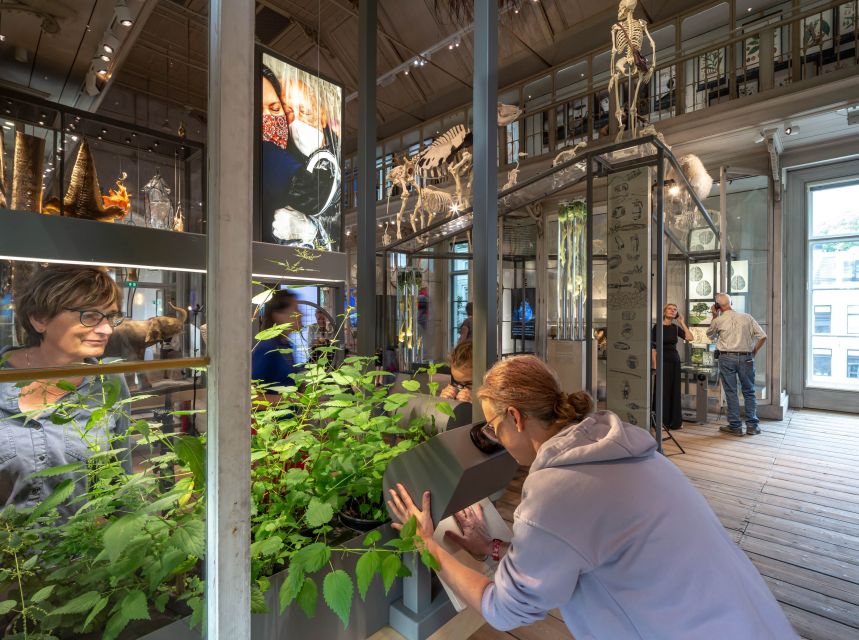 Amsterdam: ARTIS-Groote Museum Entry Ticket - Don’t expect ARTIS Zoo or Micropia with this ticket