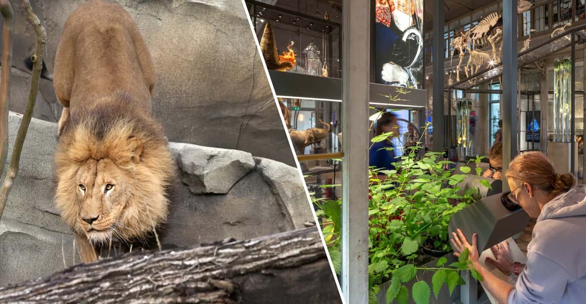 Amsterdam: ARTIS Royal Zoo and ARTIS Groote Museum Ticket - The Planetarium: a space show that’s actually part of your ticket