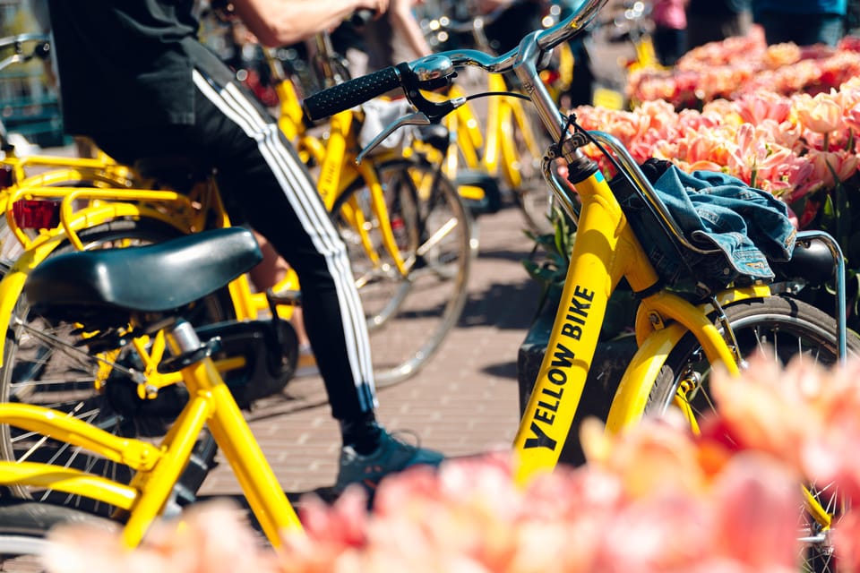 Amsterdam Bike Rental: Central Station & City Center - Using the bike for your day: city streets, then Dutch countryside and windmills