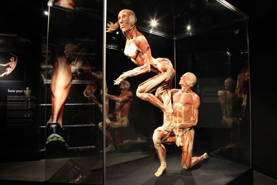 Amsterdam: Body Worlds Exhibition and Canal Cruise - Key things to know before you go