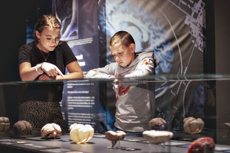 Amsterdam: Body Worlds Exhibition and Canal Cruise - When to book: cruise slots and holiday hours