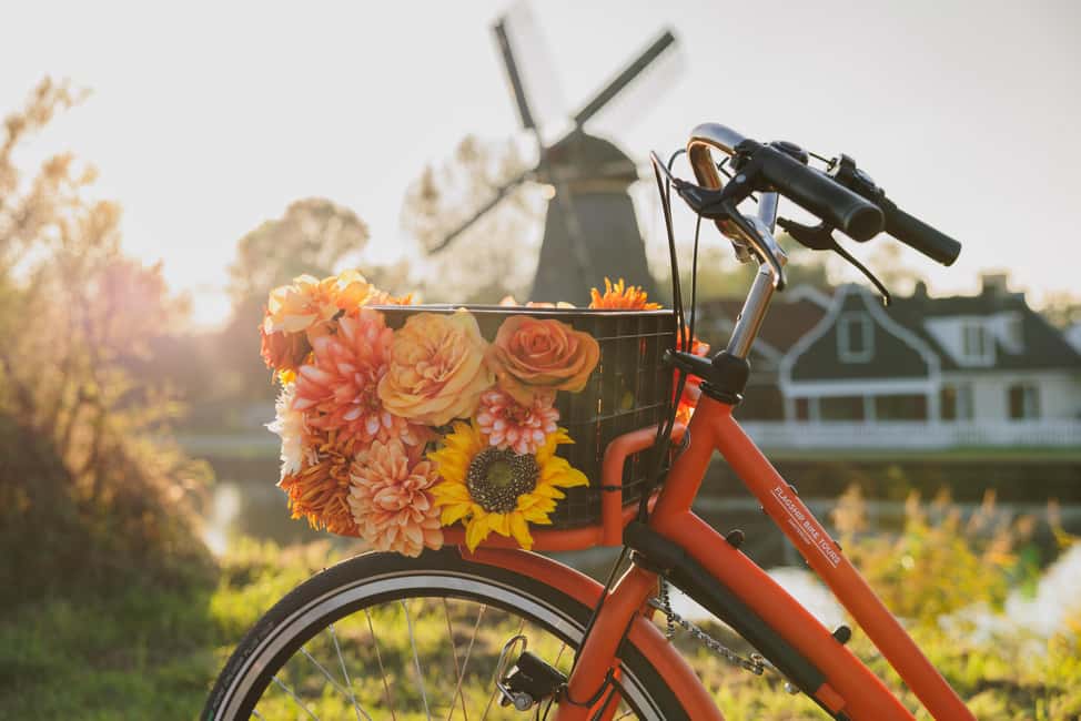 Amsterdam: Cheese, Windmill & Countryside Bike Tour - Price and value: why $44 feels fair for what’s included
