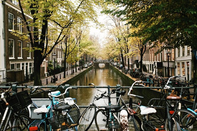 Amsterdam City Center Guided Walking Tour Semi-Private 12ppl Max - Stopera and canal-house thinking: when civic power and art meet