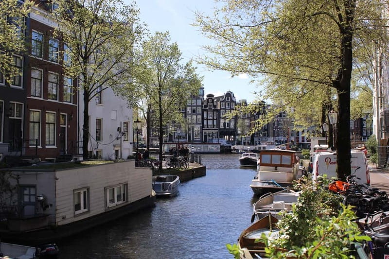 Amsterdam: City walking experience with a local - Price and timing: why $28 can make sense for a first day