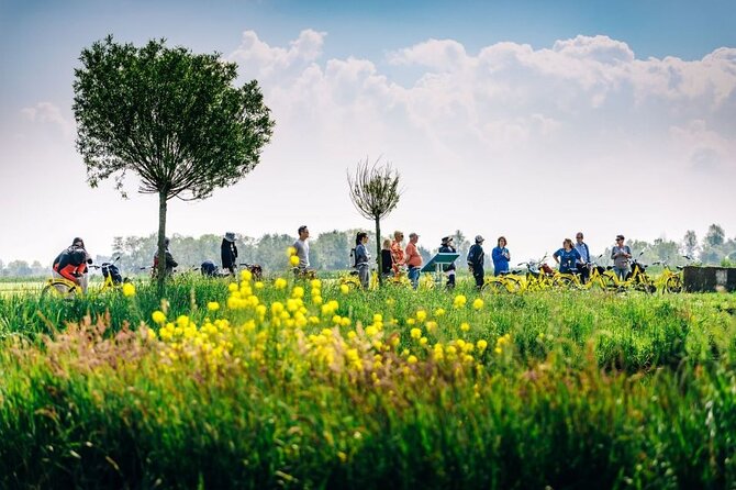Amsterdam Countryside and Villages Bike Tour - Price and value: what $54.01 buys you in real time