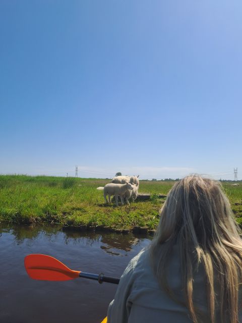 Amsterdam: Countryside Bike and Kayak Guided Tour - Key highlights worth planning around