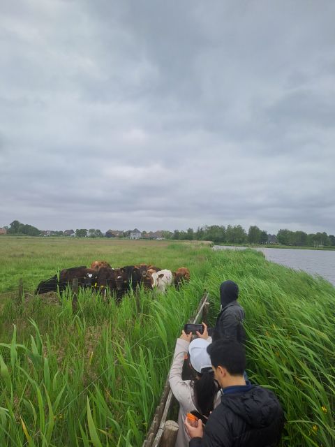 Amsterdam: Countryside Bike and Kayak Guided Tour - How This Bike and Kayak Tour Gets You Out of Amsterdam Fast