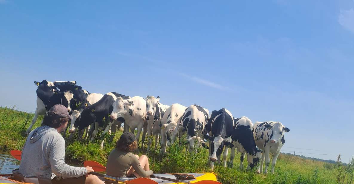 Amsterdam: Countryside Bike and Kayak Guided Tour - Broek in Waterland Kayaking: Quiet Water and Farm Animals Close by