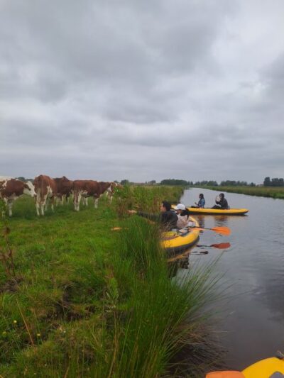 Amsterdam: Countryside Bike and Kayak Guided Tour - Starting at A’DAM Lookout, Then Rolling to d’Admiraal Windmill (Built in 1792)