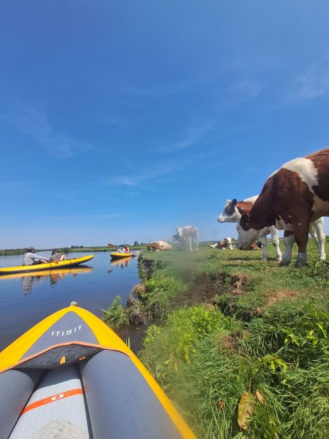 Amsterdam: Countryside Bike and Kayak Guided Tour - The North Holland Break: Lunch in a Historic Church and Village-Scale Stops