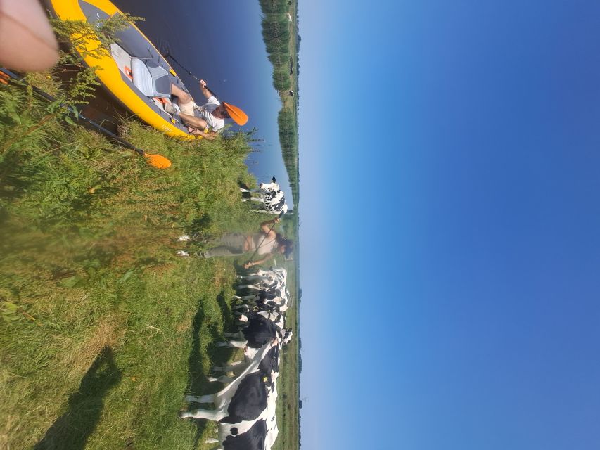Amsterdam: Countryside Bike and Kayak Guided Tour - Cycling Back Toward Amsterdam-Noord: One Last Stretch Before A’DAM