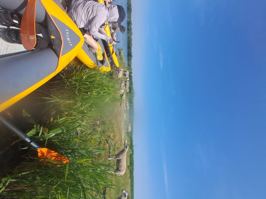 Amsterdam: Countryside Bike and Kayak Guided Tour - Bikes and Kayaks: What’s Included and What That Means for Your Day