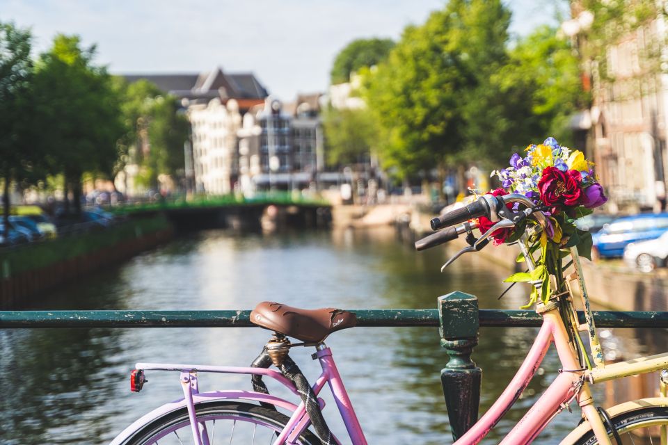 Amsterdam: Countryside Bike Tour - Should You Book This Countryside Bike Tour?