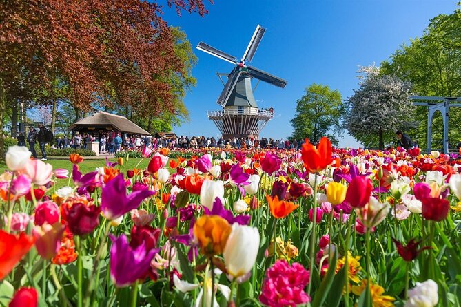 Amsterdam: Day Trip to Keukenhof & Zaanse Schans Windmills - Price and timing: when $78.54 feels fair (and when it doesn’t)