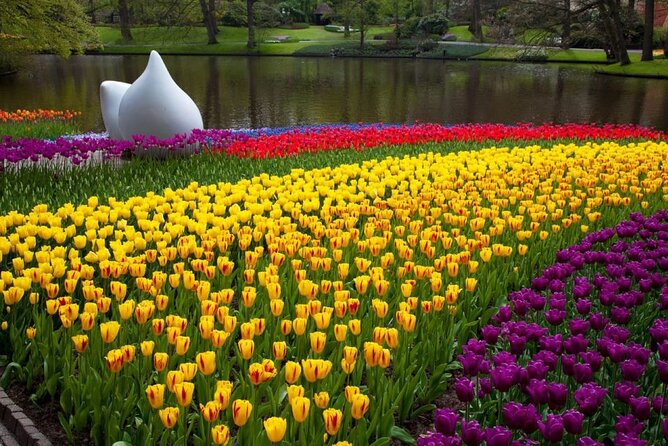 Amsterdam: Day trip to Tulip Farm, Keukenhof + Windmill Cruise - Who This Tour Fits Best (and Who Should Skip It)