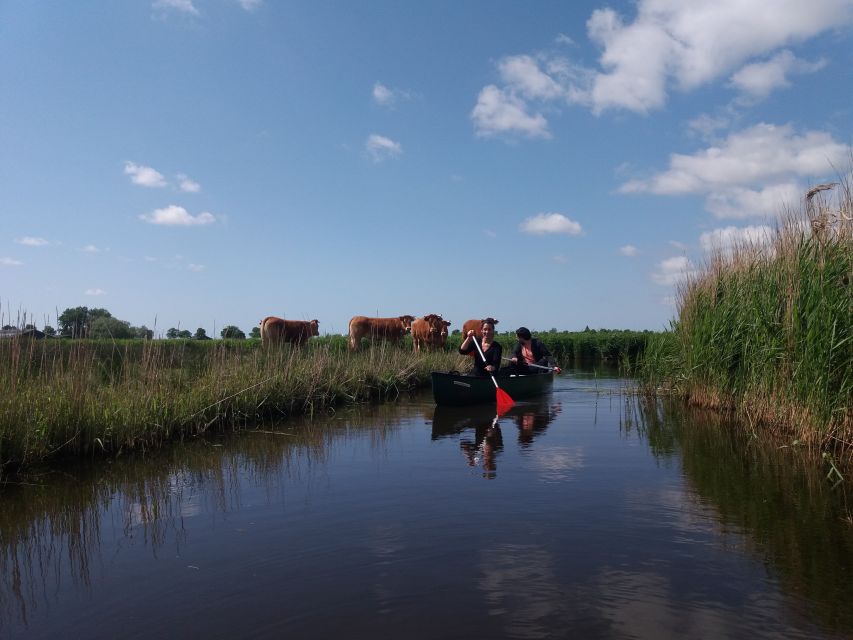 Amsterdam: Dutch Countryside Sunset Canoe Tour - Who this tour fits best (and who should skip)
