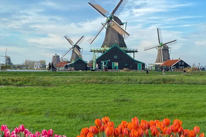 Amsterdam: Experience Edam, a Cheese Tasting, and a Windmill - 6 Hours Total: Timing From Amsterdam Without Stress