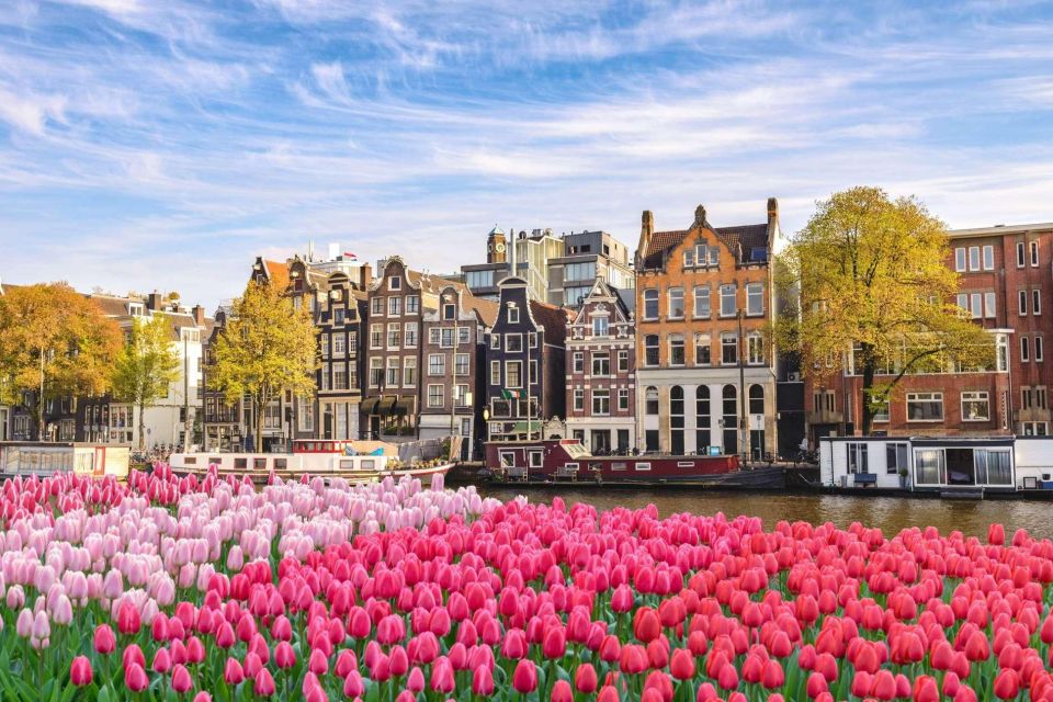 Amsterdam Family Friendly Historical Walking Tour - The 5-Hour Option: Tropenmuseum Skip-the-Line Tickets for Culture Learning