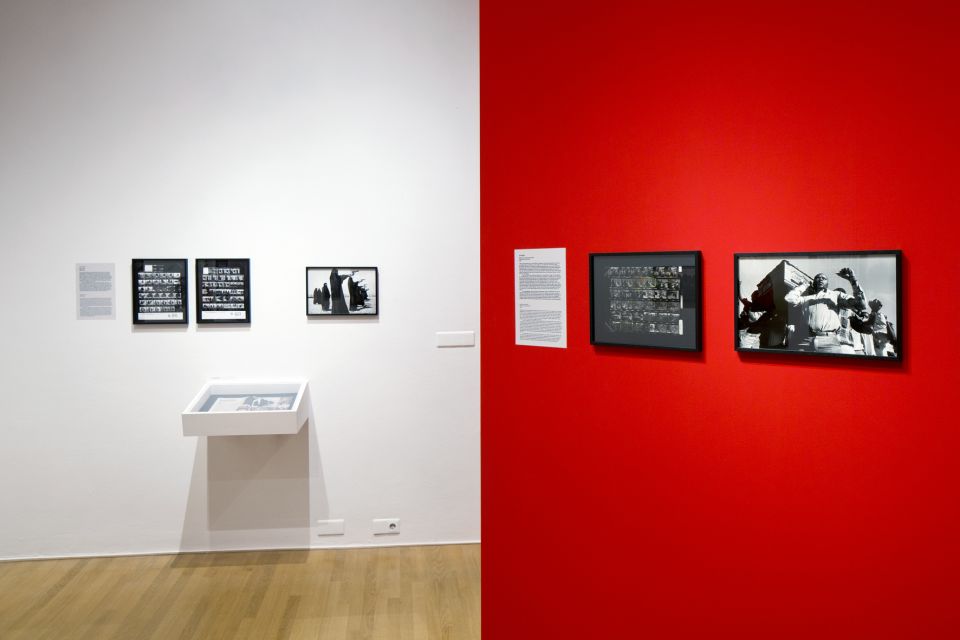 Amsterdam: Foam Photography Museum Admission Ticket - What you’ll see inside: pioneers, documentary work, and video installations