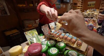 Amsterdam: Full-Day Countryside Tour - The van route: how the timing stays comfortable for 8 hours