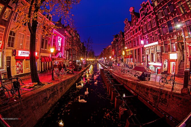 Amsterdam: Guided Red Light District and City Walking Tour - The Dam and Amsterdam’s wooden-pole secret under your feet