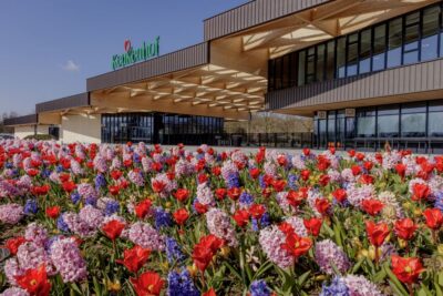 Amsterdam: Half-Day Flower Fields and Keukenhof Bicycle Tour - Cycling Through Holland’s Bulb Fields: What You’re Really Seeing