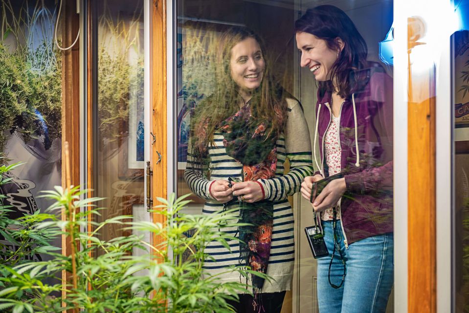 Amsterdam: Hash, Marihuana, and Hemp Museum Entry Ticket - The cannabis garden with live plants: why it’s more than decoration