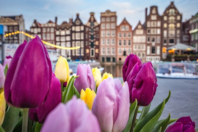 Amsterdam Highlights Walking Tour - Key Highlights You’ll Feel Immediately