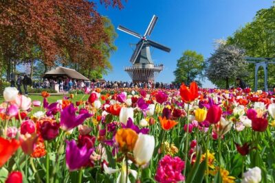 Amsterdam: Keukenhof Entry & Shuttle Bus with Flexible Return - Keukenhof at your own pace for up to 3 hours