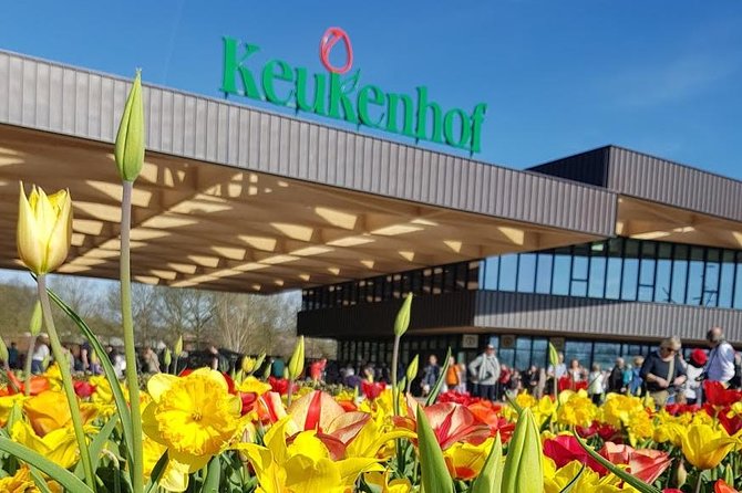 Amsterdam : Keukenhof FlowerFarm Privatetour Skip-The-Line ticket - Hotel Pickup and a Private Car With Wi‑Fi: The “Less Hassle” Advantage