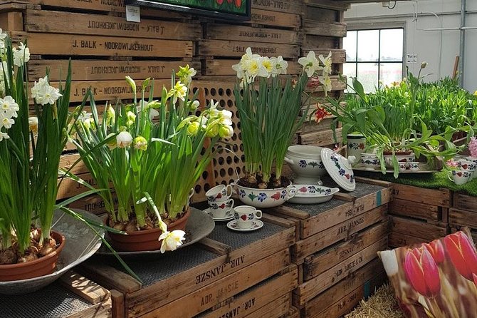 Amsterdam : Keukenhof FlowerFarm Privatetour Skip-The-Line ticket - Stop 2: De Tulperij Tulip Farm Experience With Show Gardens and Pick-Your-Own