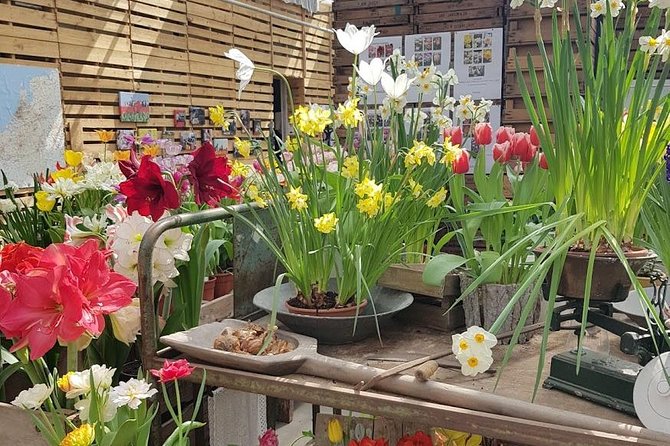 Amsterdam : Keukenhof FlowerFarm Privatetour Skip-The-Line ticket - Price and Timing: Is $463.74 Per Person Worth It?