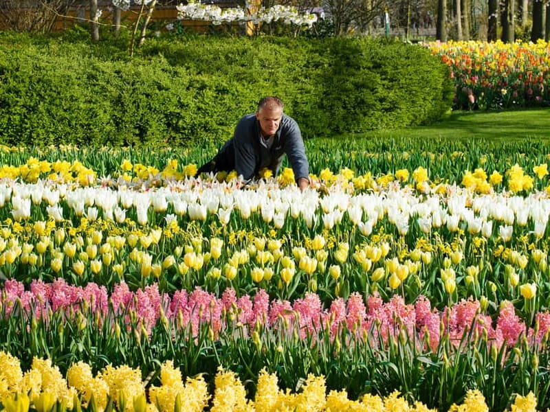 Amsterdam: Keukenhof Ticket and Roundtrip Shuttle Transfer - Arriving at Keukenhof: getting in and planning your first walk