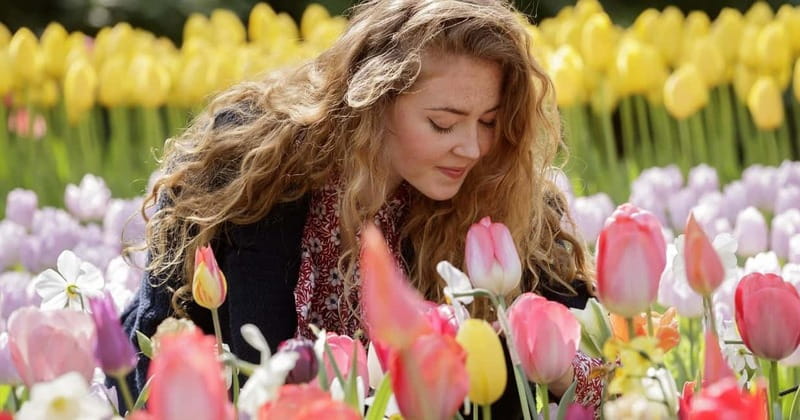 Amsterdam: Keukenhof, Tulip Farm Full-Day Tour with Cruise - Key highlights worth your attention