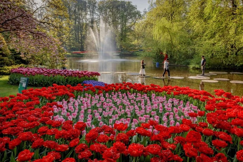 Amsterdam: Keukenhof, Tulip Farm Full-Day Tour with Cruise - How the 1-hour Kagerplassen windmill cruise changes the pace