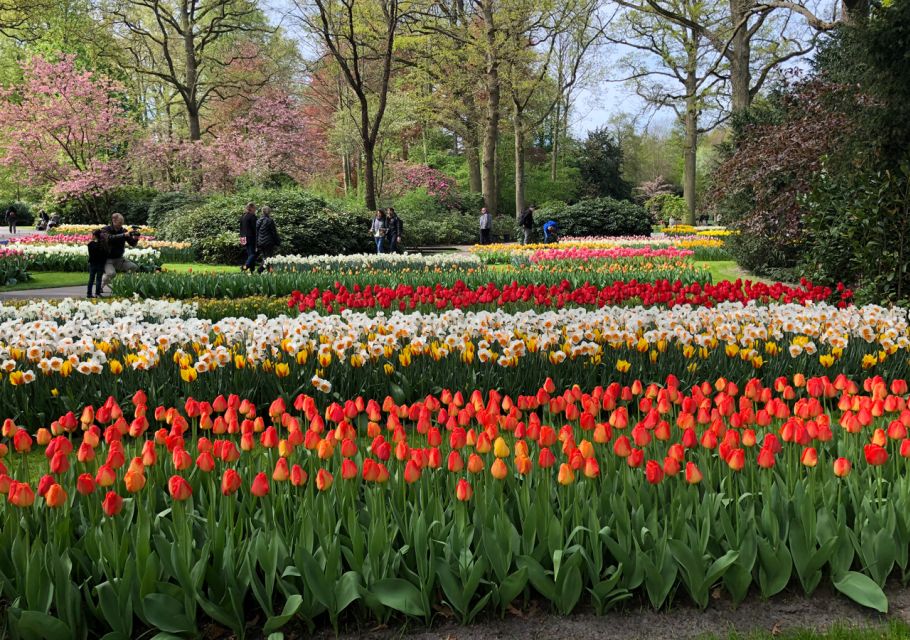 Amsterdam: Keukenhof Tulip Garden and Giethoorn Experience - Value and Price: Is $175 Worth It?