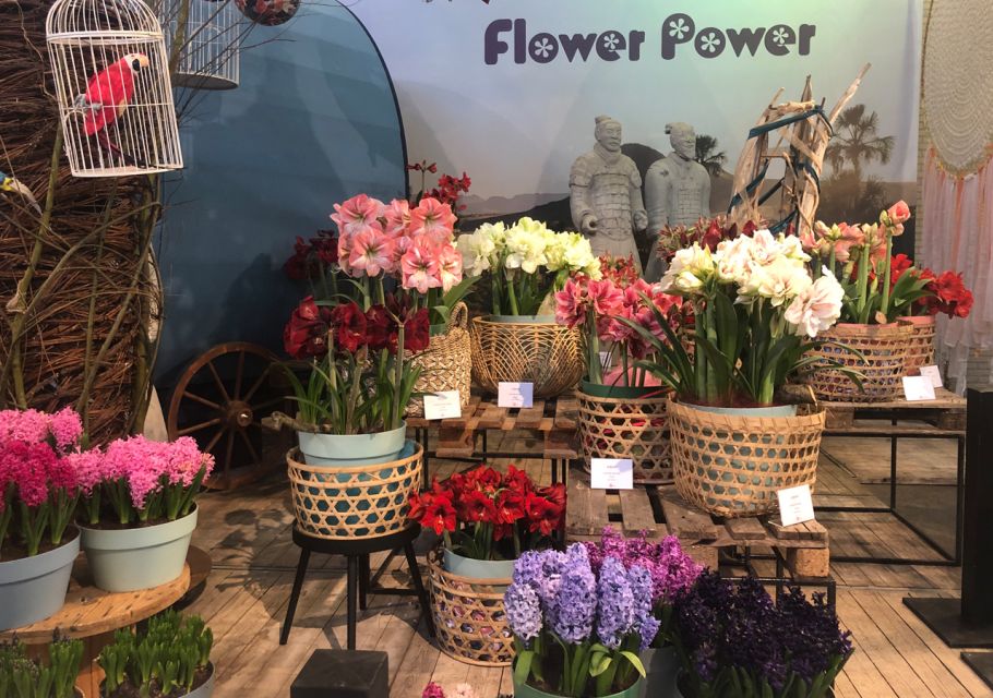 Amsterdam: Keukenhof Tulip Garden and Giethoorn Experience - Guide Energy: When the Day Feels Smooth