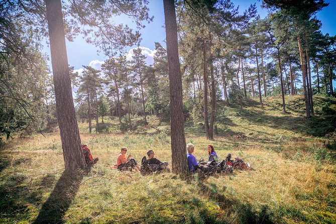 Amsterdam: Kröller Müller Museum and Hoge Veluwe NP Private Tour - Timing, pacing, and what to prioritize so you don’t feel rushed