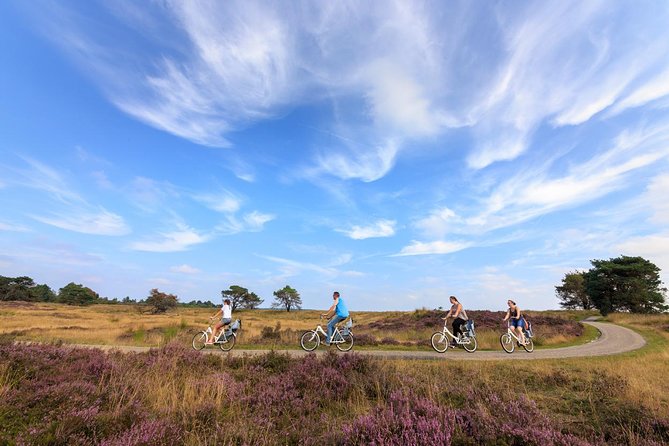 Amsterdam: Kröller Müller Museum and Hoge Veluwe NP Private Tour - Guides and the difference a good storyteller makes