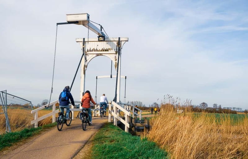 Amsterdam: Leisurely Windmill & Countryside Bike Ride - The eco-farm cheese tasting and Amsterdam North’s pigs