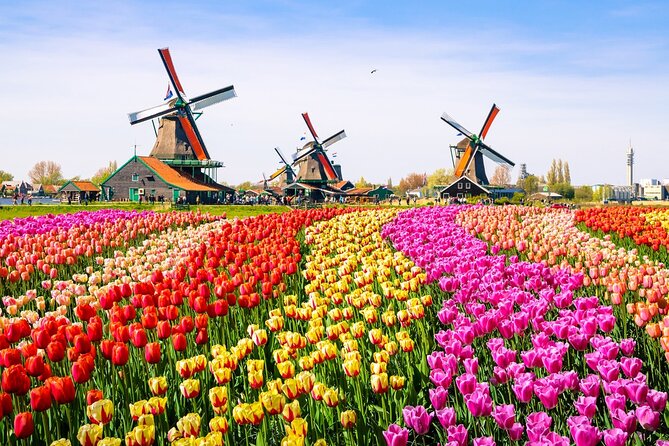 Amsterdam Pass: 45+ Things To Do - Includes Rijksmuseum - Diamonds, Cocktails, and Quirky Museums: Great for Filling the Gaps