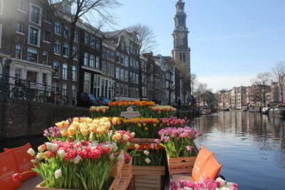Amsterdam: Premium Tulip Boat Canal Tour - What you’ll actually see from the water: bridges, canal houses, and the Golden Bend