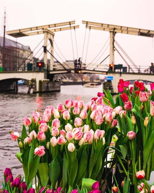 Amsterdam: Premium Tulip Boat Canal Tour - Inside the boat experience: tulips, bar drinks, and guide energy