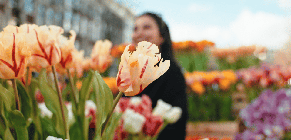 Amsterdam: Premium Tulip Boat Canal Tour - Should you book the Amsterdam Premium Tulip Boat Canal Tour?