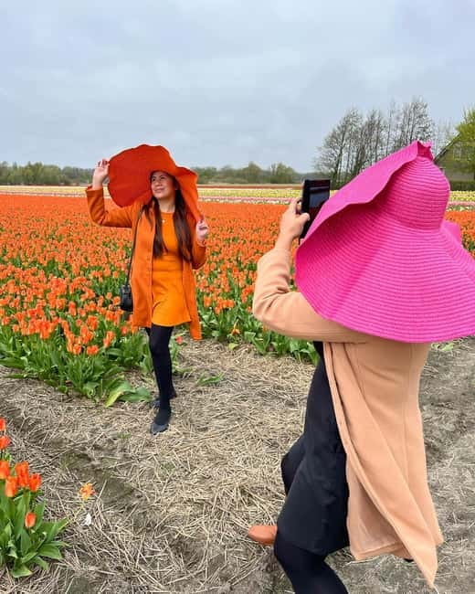 Amsterdam: Private Keukenhof and Free Tulip Tour - The Keukenhof part: 4 hours to wander with a plan